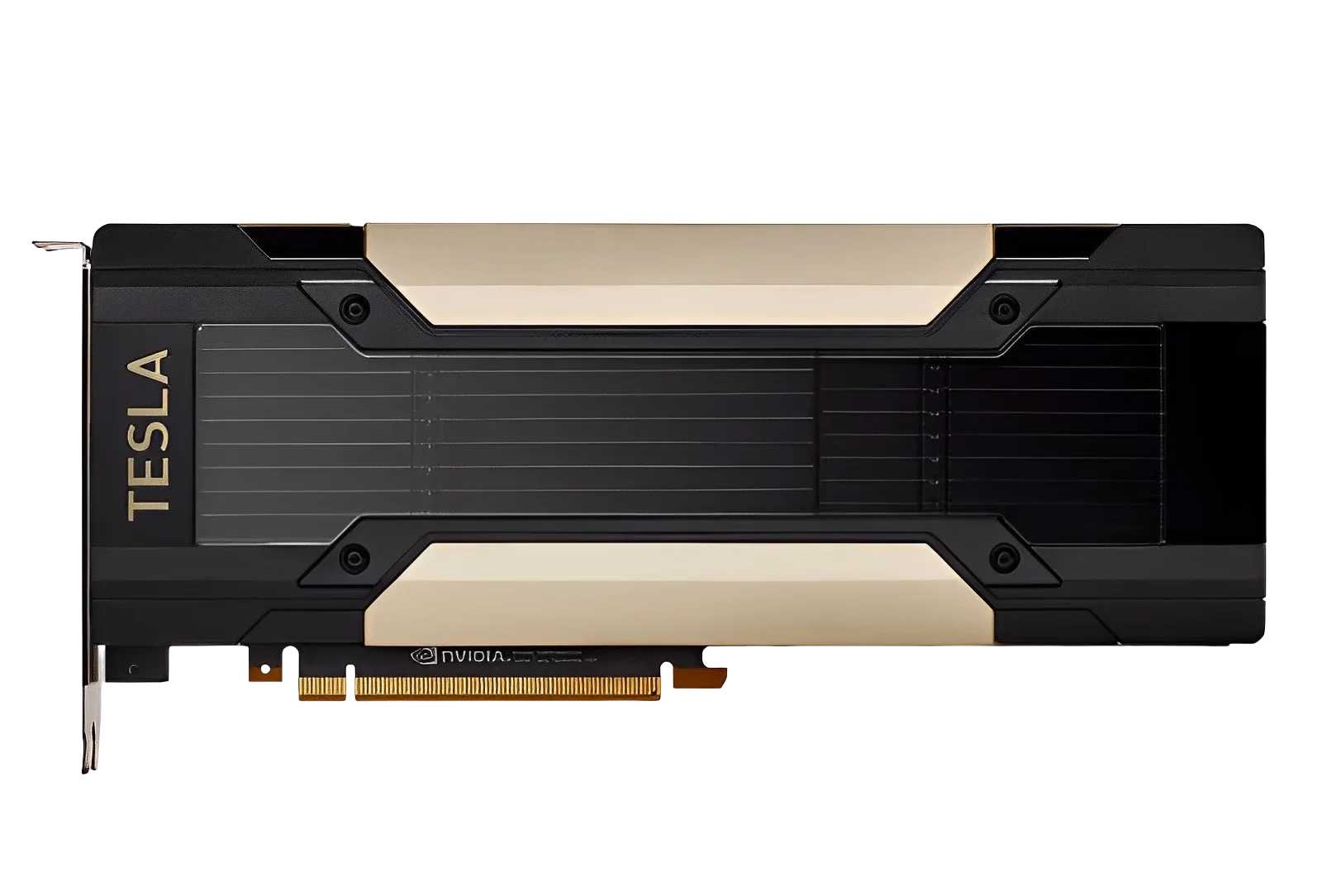 V100/P100/T4/P4/P40/M10/M40 GP - Ddr5 8Gb incelemesi ve fiyatı